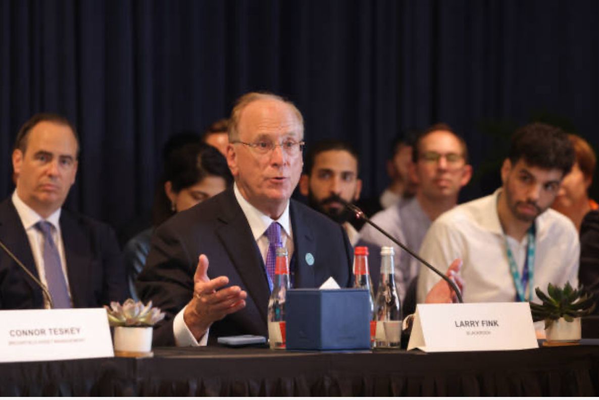 About Fin Digital Bkins